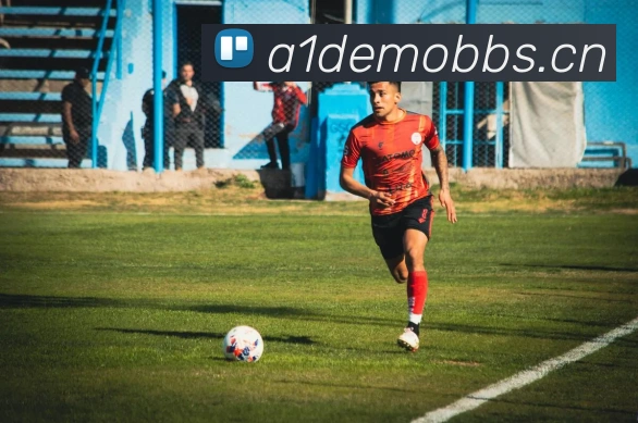 开云在线官网登录APP 封面图